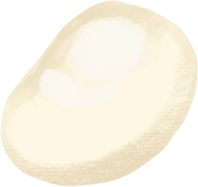 Ay Taşı